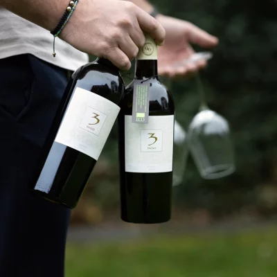 Werk van Wine It Up