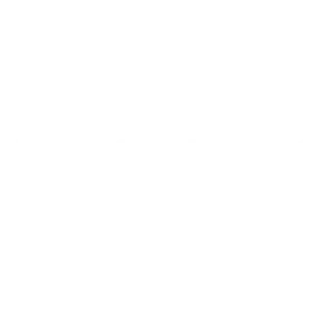 Logo Newtone
